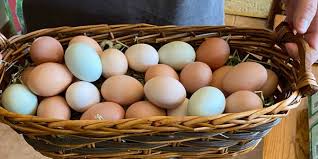 Farm Fresh Eggs